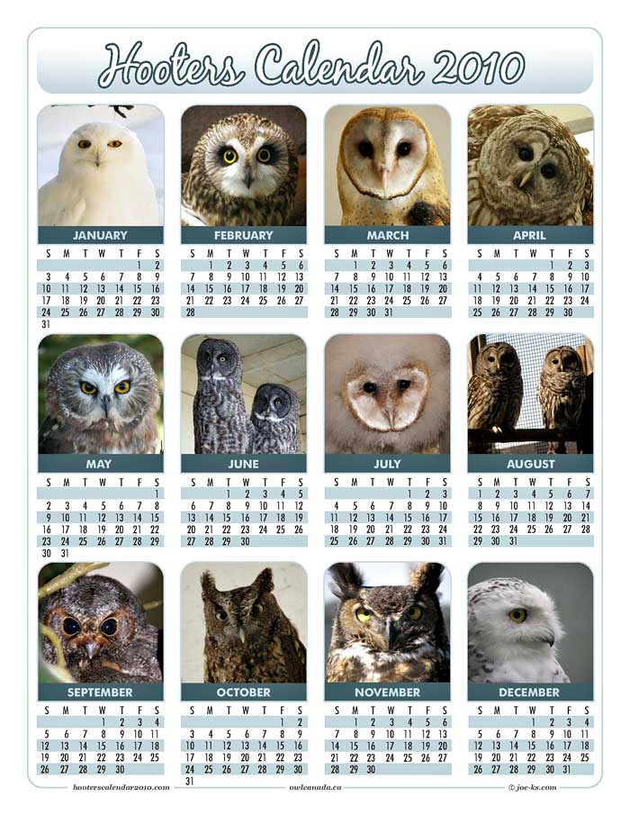 2010 Hooters Calendar